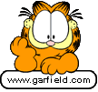wwwgarfield_bn.gif (3618 bytes)